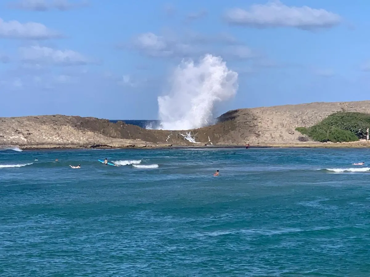 Coral Guest House - Jobos Isabela, Pr Σπίτι διακοπών Isabela